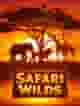 Safari Wilds